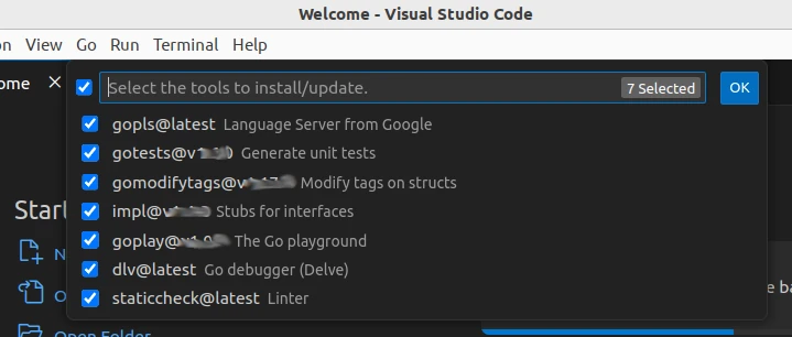 Go Tools in VSCode auswählen